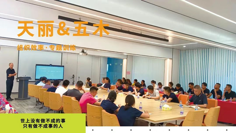 天麗提升企業(yè)組織效率 ，在精進(jìn)中高質(zhì)量發(fā)展！